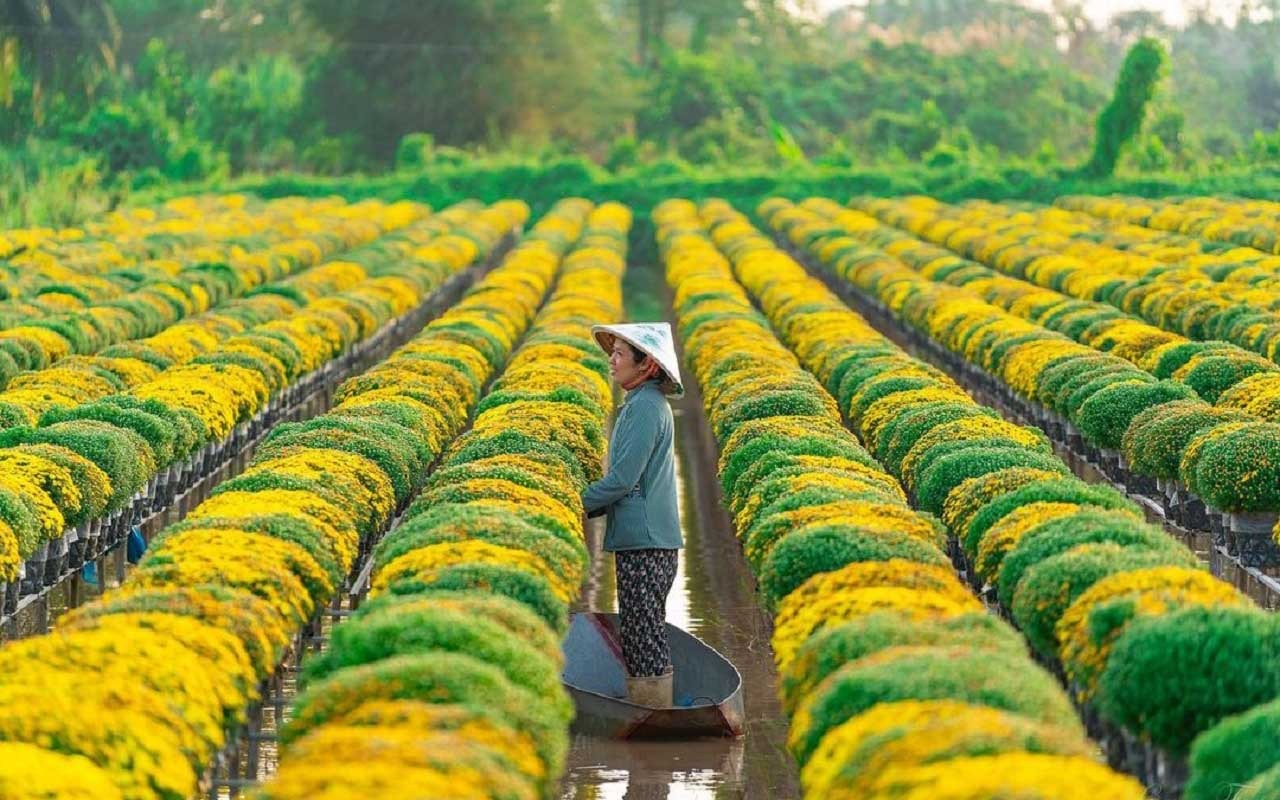 Hồ Chí Minh -> Đồng Tháp