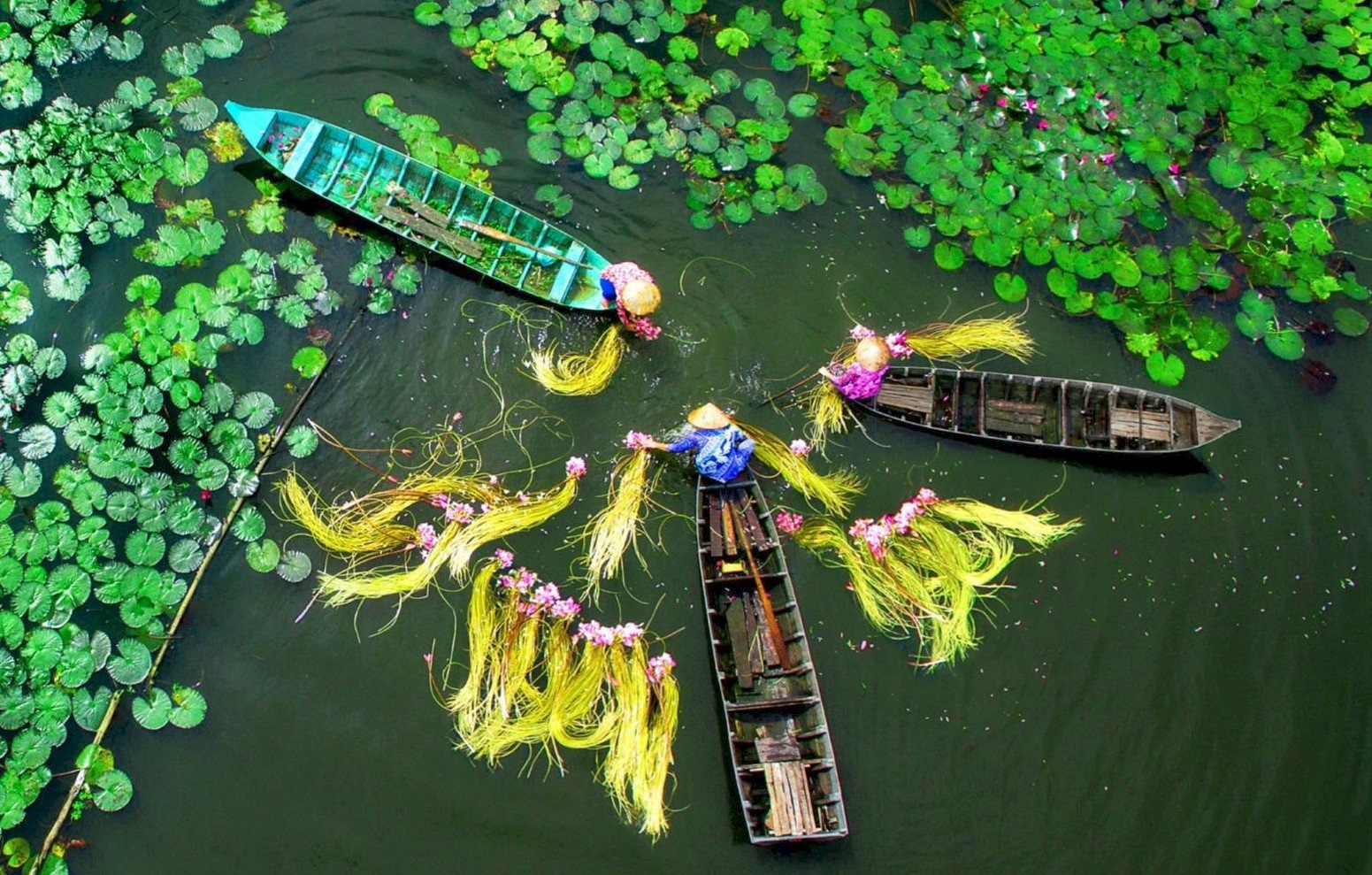 Hồ Chí Minh -> Cần Thơ